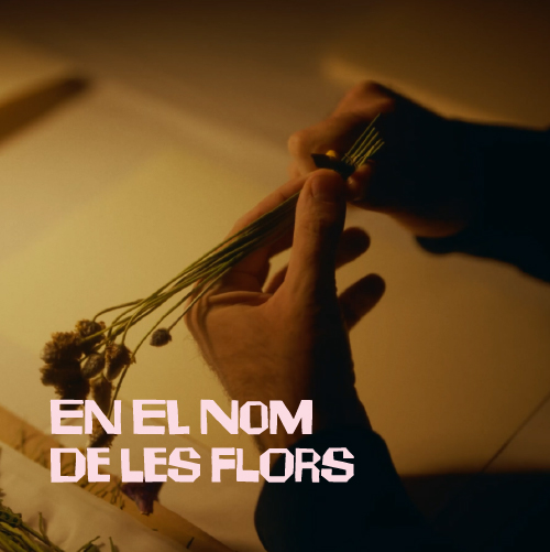 En el nom de les flors 500x500