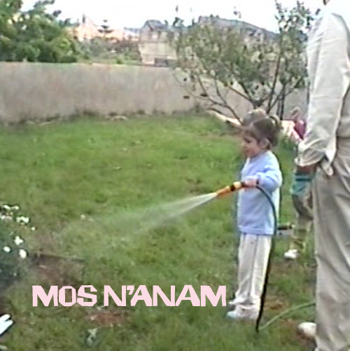 Mos nanam 500x500